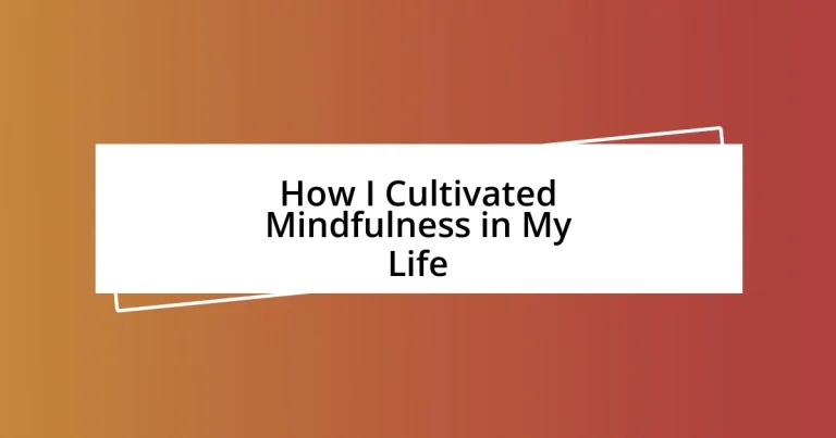 How I Cultivated Mindfulness in My Life