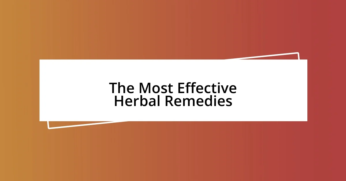 The Most Effective Herbal Remedies