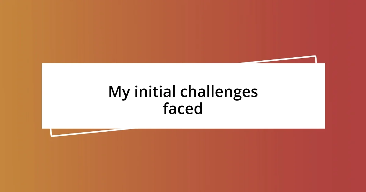 My initial challenges faced