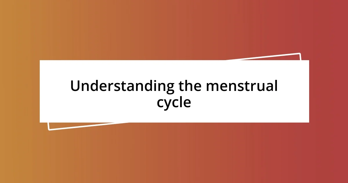 Understanding the menstrual cycle