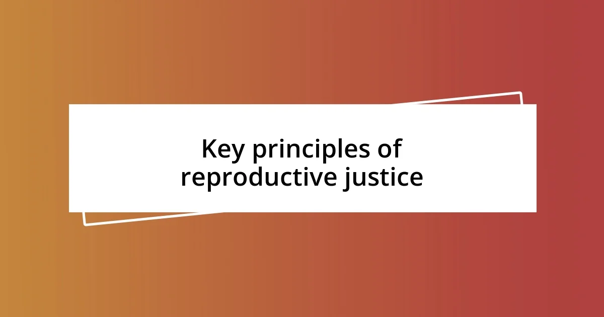 Key principles of reproductive justice